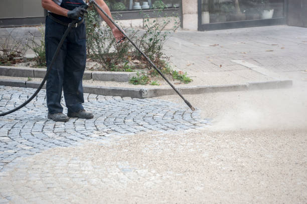Best House Exterior Washing  in South Beloit, IL